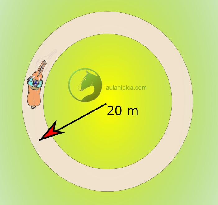 Ejercicio para galope