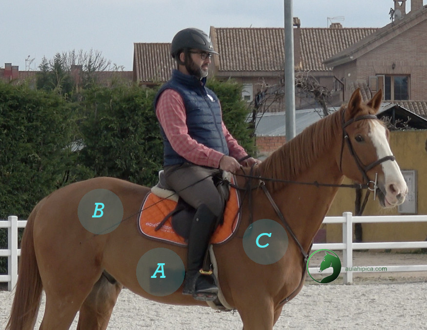 zonas de uso de la fusta de doma