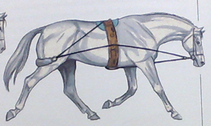 Posición alta del Pessoa