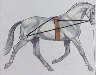 Posición alta del Pessoa