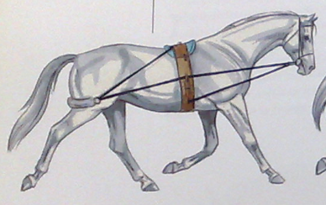 Posición intermedia del Pessoa.