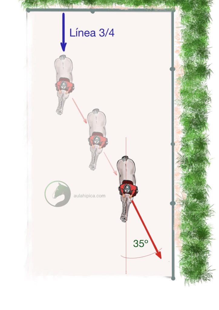Ejercicio de cesión a la pierna.