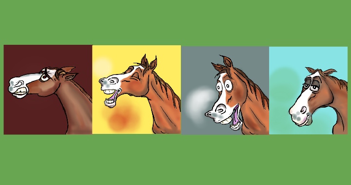 emociones equitacion