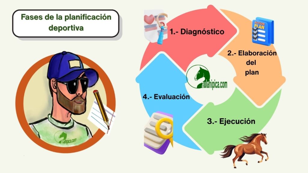 fases-planificacion-deportiva-caballo